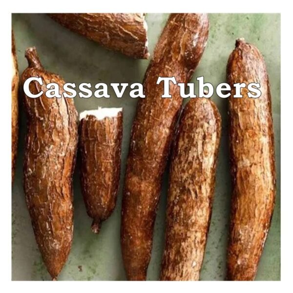 cassava tubers category