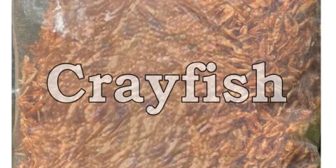 crayfish labeled category