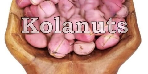 kolanuts labeled2 category