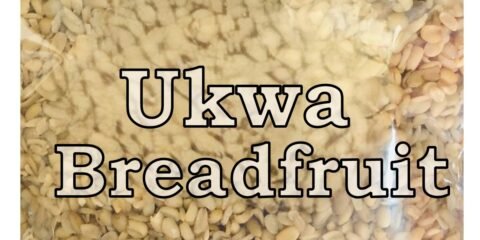 ukwa breadfruit labeled