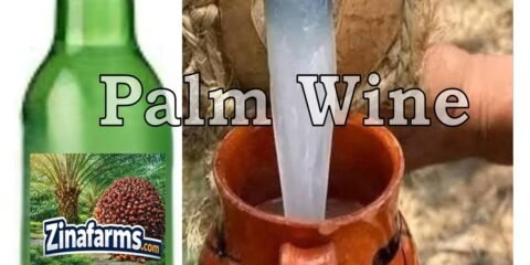 desktop slider palmwine images